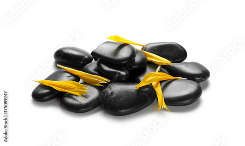 Black spa stones with flower petals isolated on white background photo