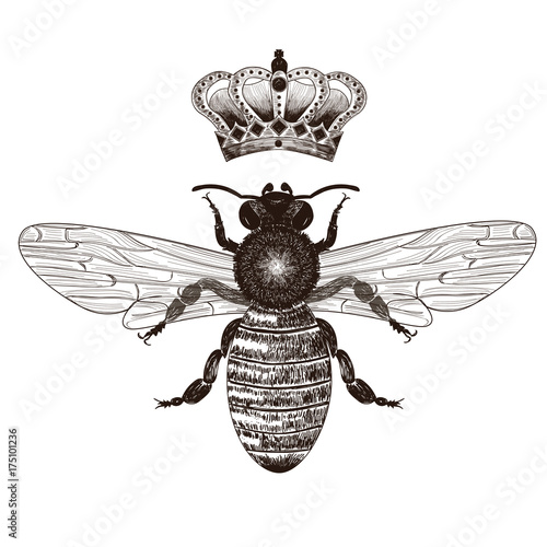 Bee and Crown set - drawings