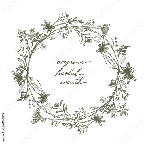 Organic Herbal Wreath hand-drawn