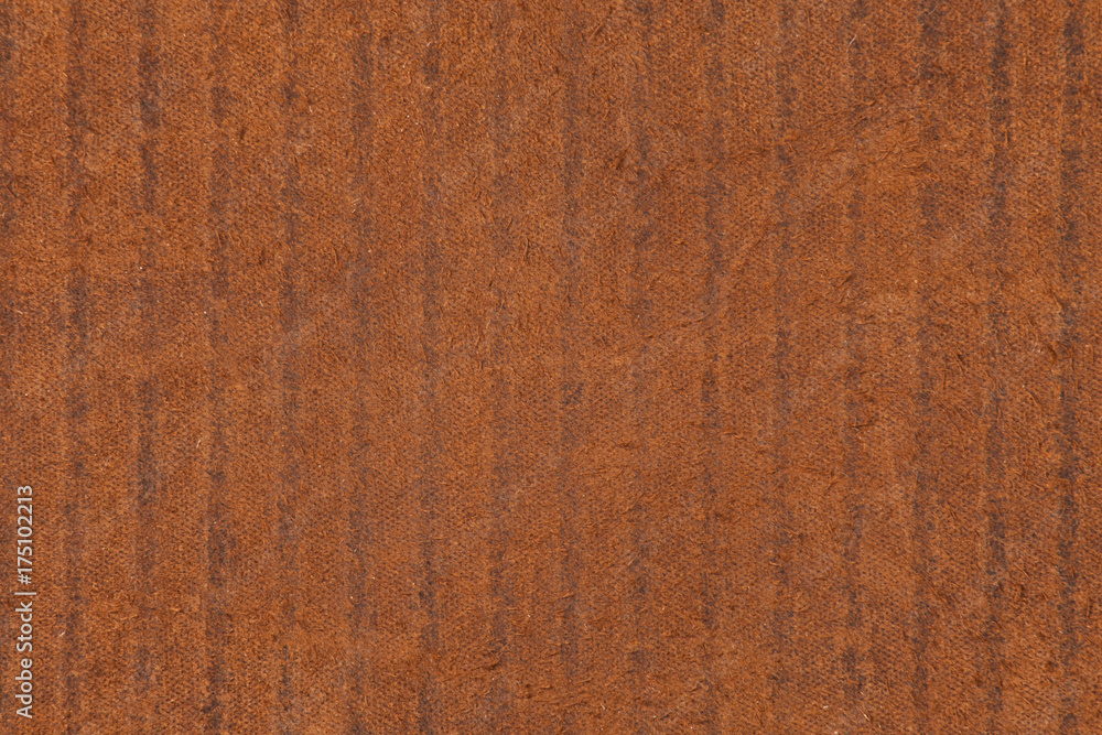 Fototapeta premium High resolution texture. Background. Skin.