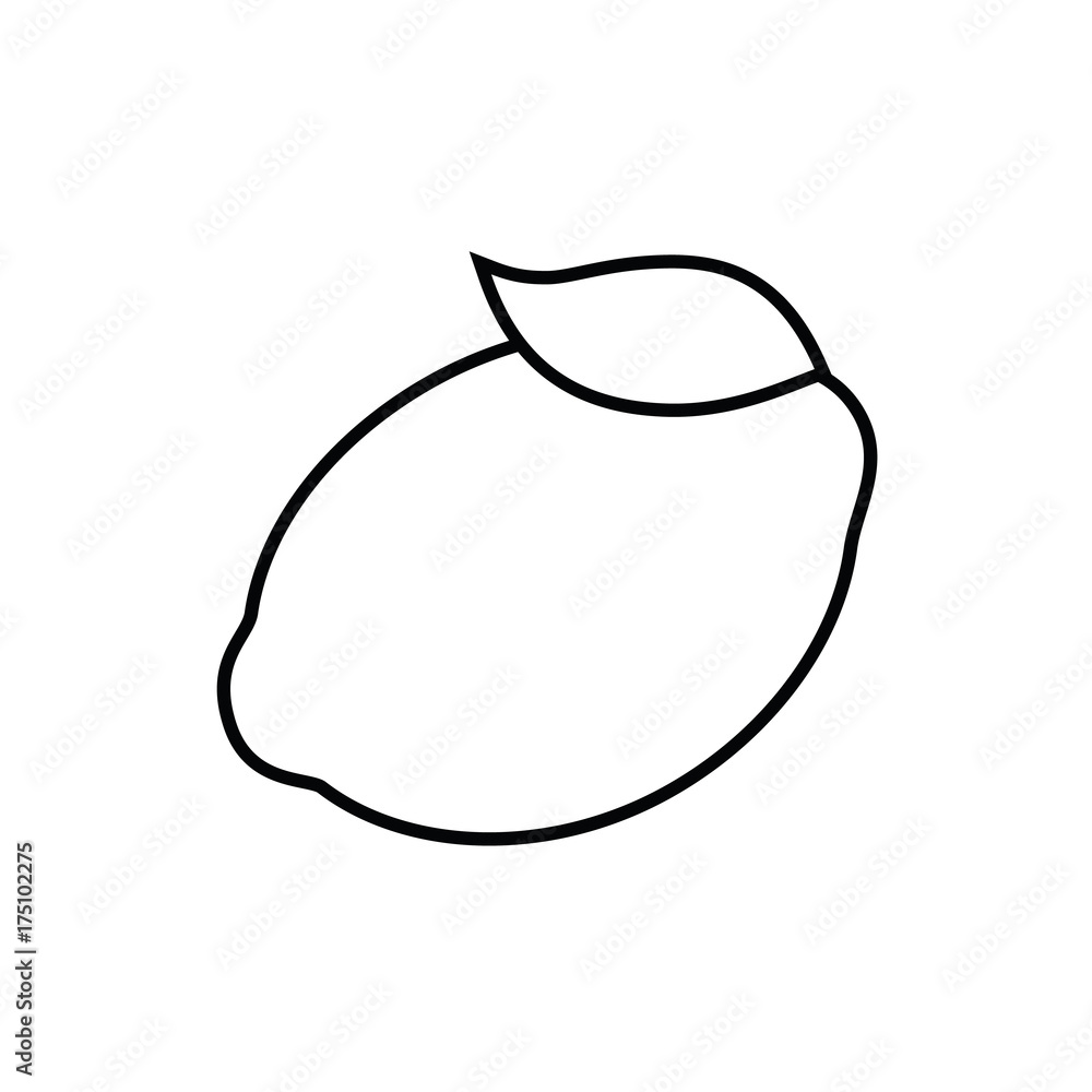 Lemon black and white vector illustration Lemon black and white vector illustration