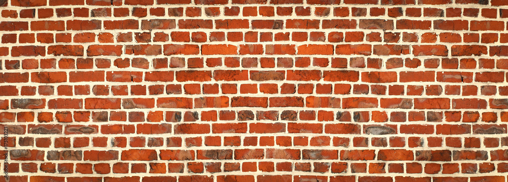 Fototapeta premium Mur en briques