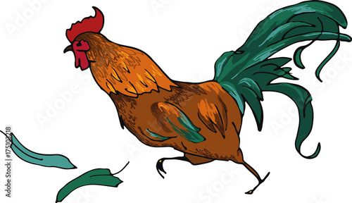 running cock with golden-green feathers
