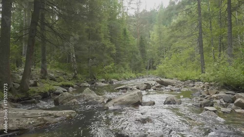 Wallpaper Mural Mountain river in autumn time. Rocky shore. River flowing through Rocky Mountains Torontodigital.ca