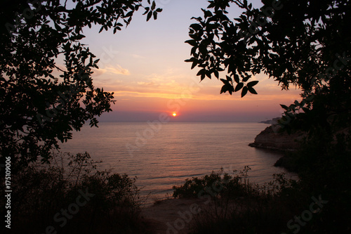 View through the trees and leaves at sunset over the sea with the sun on the horizon