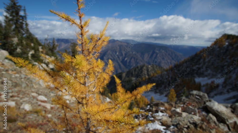 Obraz premium Fall in the Pacific Northwest