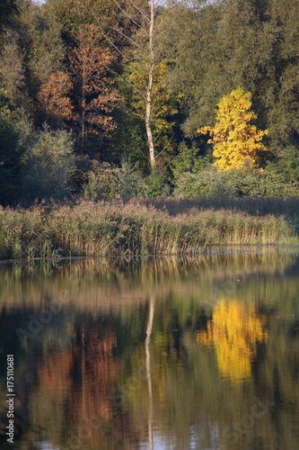 Autumn in Katowice