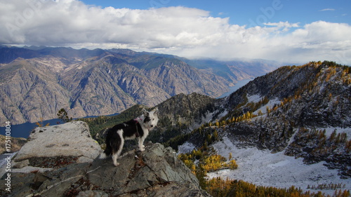 Wallpaper Mural Fall in the Pacific Northwest Torontodigital.ca