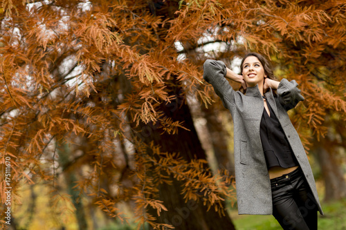 Young woman in the autumn f...