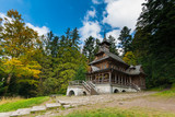 Jaszczurówka