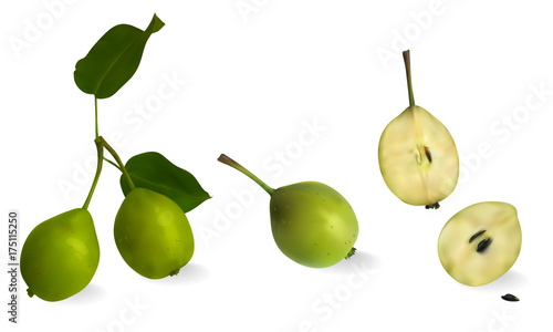Pear. 3D vector. Realistic illustration
