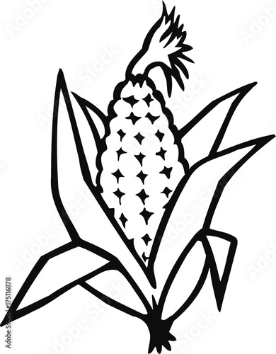 corn-maiz