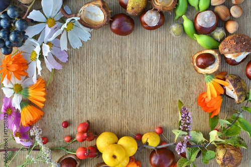 Autumn frame made of flowers, fruits and nuts