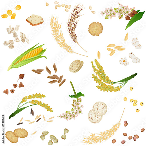 Seamless pattern with gluten free cereal foodstuff / There are ears, grains, waffles, flakes and bread from corn, millet, rice, buckwheat, sesame and quinoa
