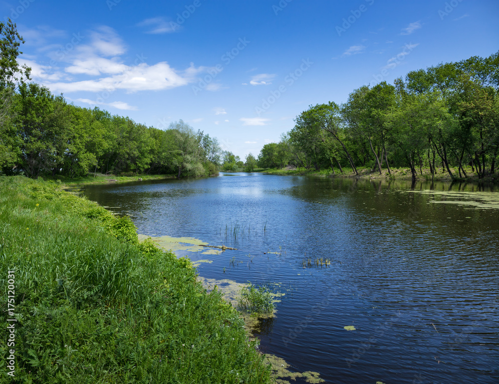 Fototapeta premium marshy lake