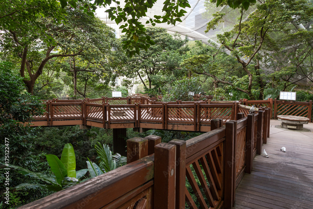 Wooden and elevated walkway inside the lush Edward Youde Aviary at the public Hong Kong Park in Hong Kong, China.