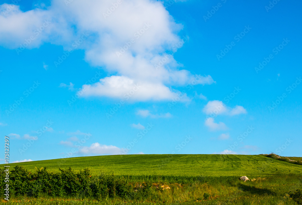 Obraz premium Rural landscape with green cultivations and blue sky, south italy