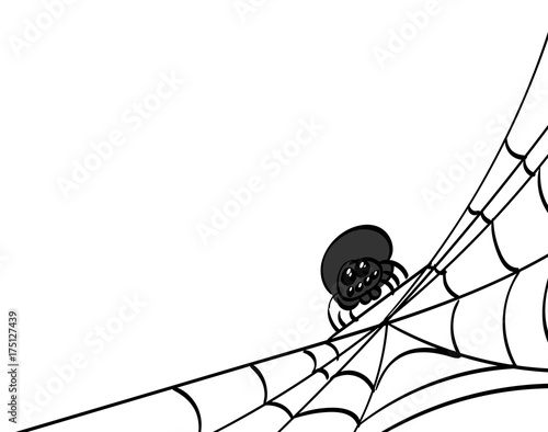 Spider web, bottom right corner.