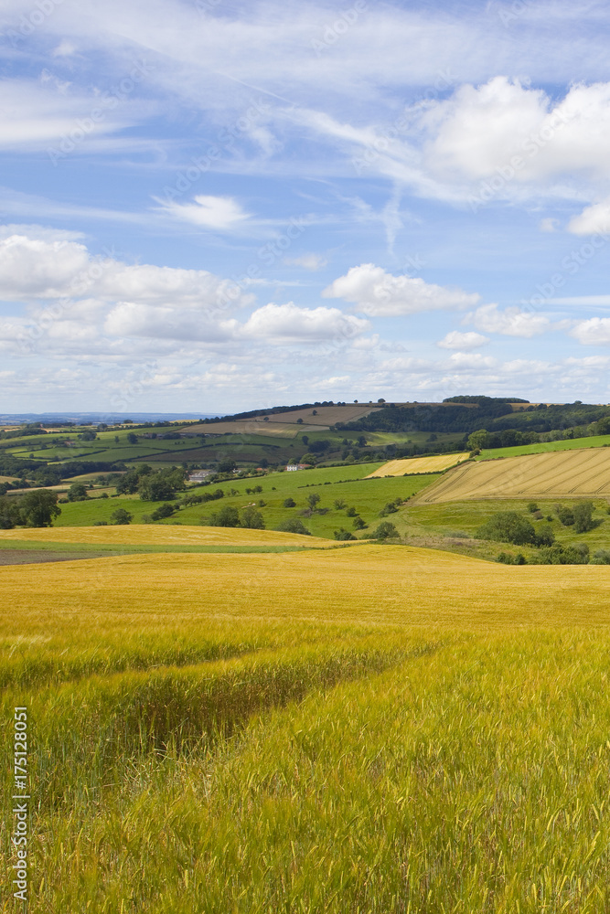 yorkshire wolds scenery