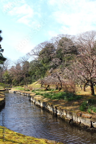 Koishikawa-korakuen at Bunkyo-city,Tokyo Japan / It is a garden completed in 1629 in the early Edo period. Scenery such as lakes, mountains, rivers and rural areas is skillfully expressed.