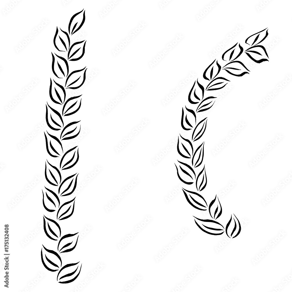 Fototapeta premium Ornament elements, vintage frame floral designs
