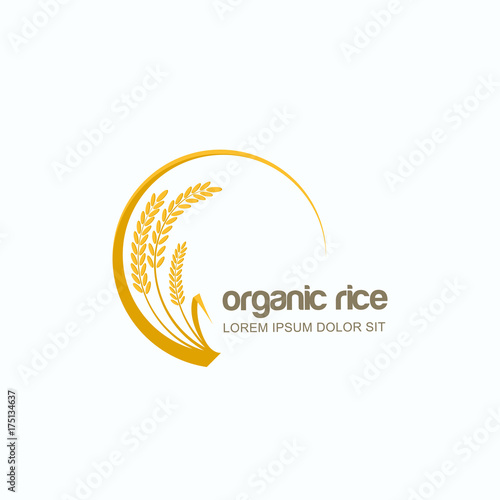 Vector logo, label or package circle emblem with yellow rice, wheat, rye grains. Design template for asian agriculture, organic cereal products, bread and bakery.