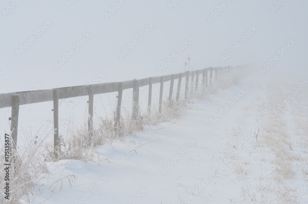 rural fence in fog