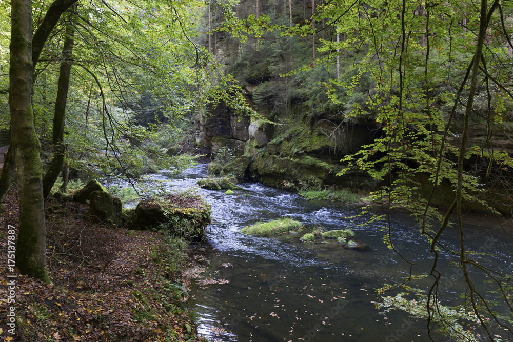 Wild autumn Landscape around the Creek Kamenice in the Czech Switzerland with Sandstone Boulders, Czech Republic Wild autumn Landscape around the Creek Kamenice in the Czech Switzerland with Sandstone Boulders, Czech Republic