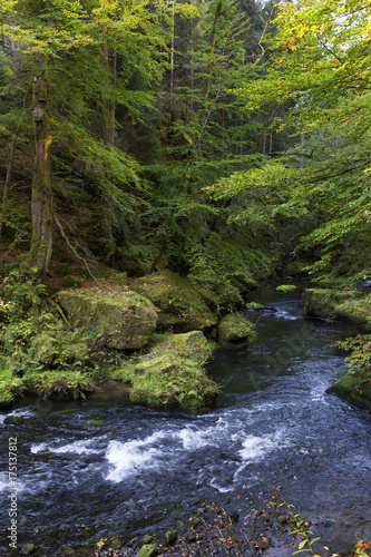 Wild autumn Landscape around the Creek Kamenice in the Czech Switzerland with Sandstone Boulders, Czech Republic