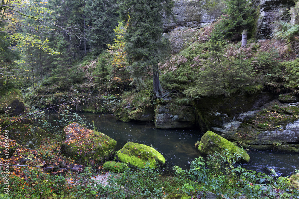 Wild autumn Landscape around the Creek Kamenice in the Czech Switzerland with Sandstone Boulders, Czech Republic Wild autumn Landscape around the Creek Kamenice in the Czech Switzerland with Sandstone Boulders, Czech Republic