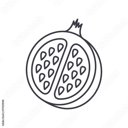 pomegranate vector line icon, sign, illustration on white background, editable strokes