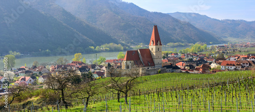 Beautiful small village of Weissenkirchen-in-der-Wachau with vineyards in the foreground. Wachau-valley, district of Krems-Land, Lower Austria.