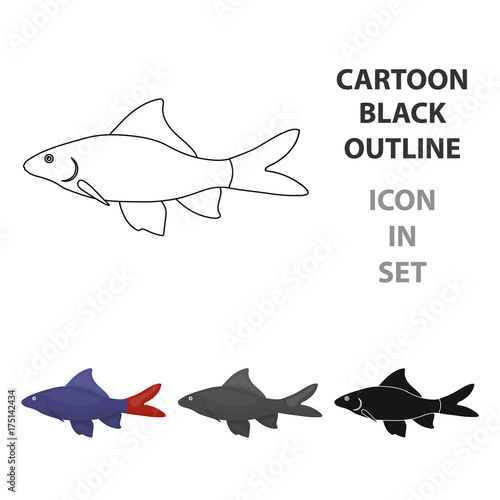 Red Tail Shark fish icon cartoon. Singe aquarium fish icon from the sea,ocean life cartoon. photo