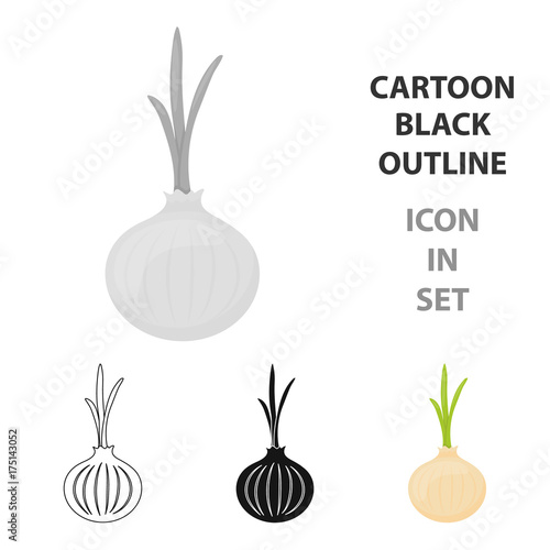 Onion icon cartoon. Singe vegetables icon from the eco food cartoon.