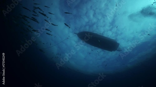 Underwater POV, school of fish swim under boat