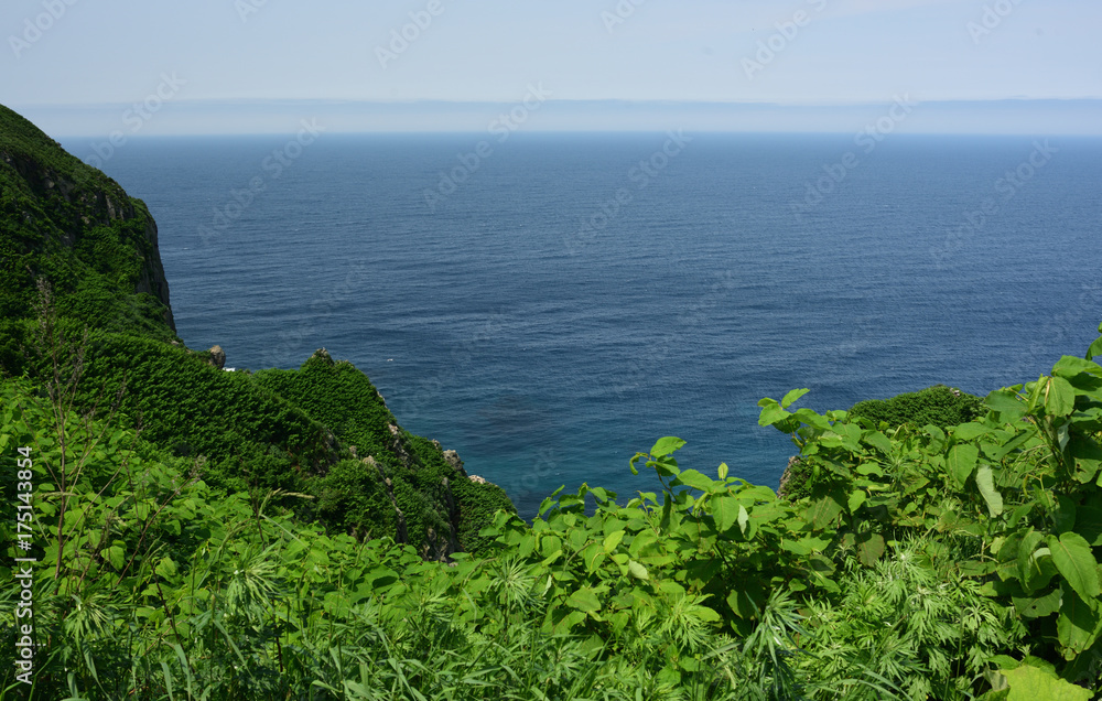 雄大でのどかな天売島　丘から望む美しい海　緑映える夏の風景
