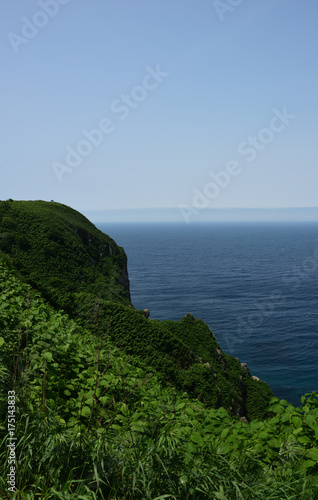 雄大でのどかな天売島 丘から望む美しい海 緑映える夏の風景