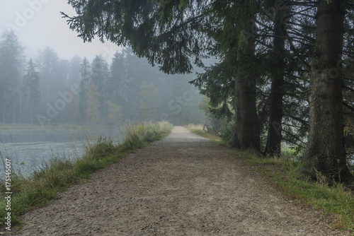 Morning fog and path near Bahnak ponds in Kladska village photo