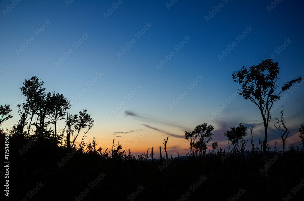 Silhouettes at dusk, Gaspesie national park, Quebec, Canada Silhouettes at dusk, Gaspesie national park, Quebec, Canada