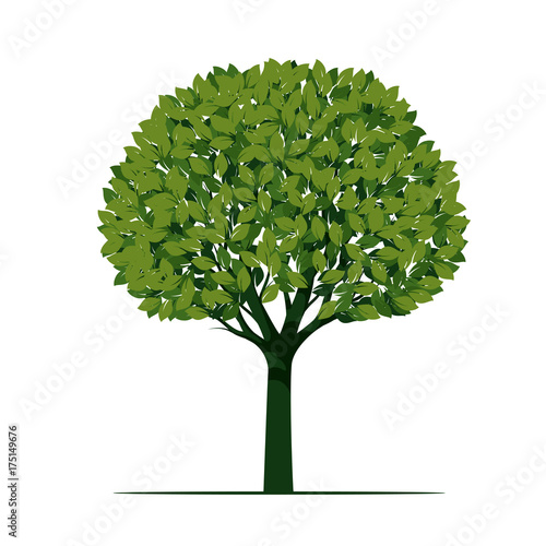 Green Tree with Leaves. Vector Illustration.