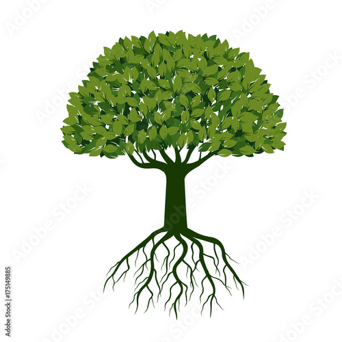 Big Green Tree with Leaves and Roots. Vector Illustration.