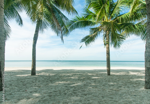 Fototapeta Naklejka Na Ścianę i Meble -  Coconut plams on the beach