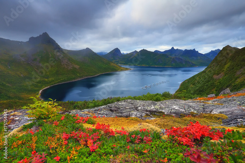 Autumn norway nature © PixieMe