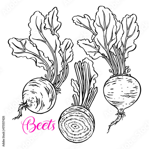 Set of ripe beets