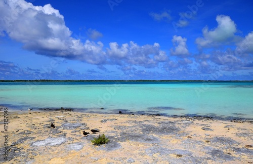 plage et lagon polyn  sie fran  aise tuamotu tikehau