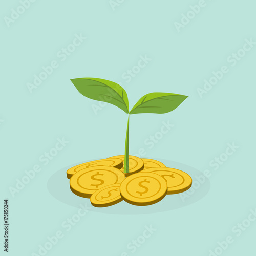 Plant Growing In Savings Coins - Investment And Interest Concept ,Business investment growth concept,with stack money coin