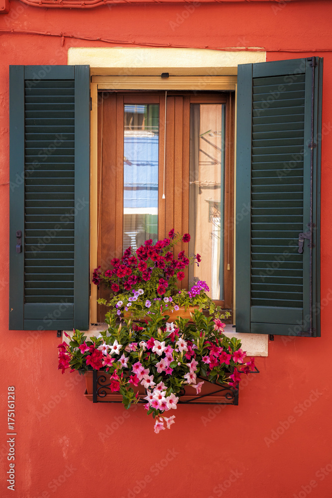 Flower display on a window in Burano