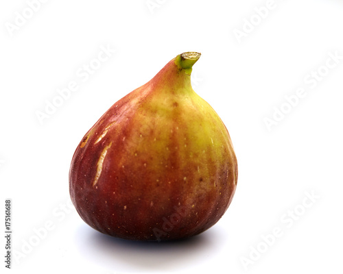 Fig on White Background