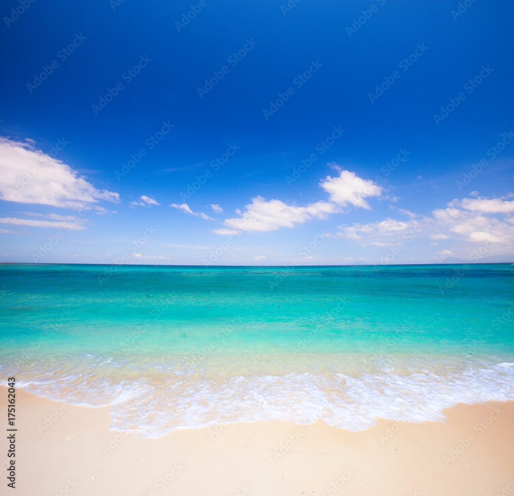 beach and tropical sea