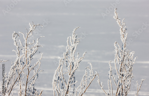 frost in winter